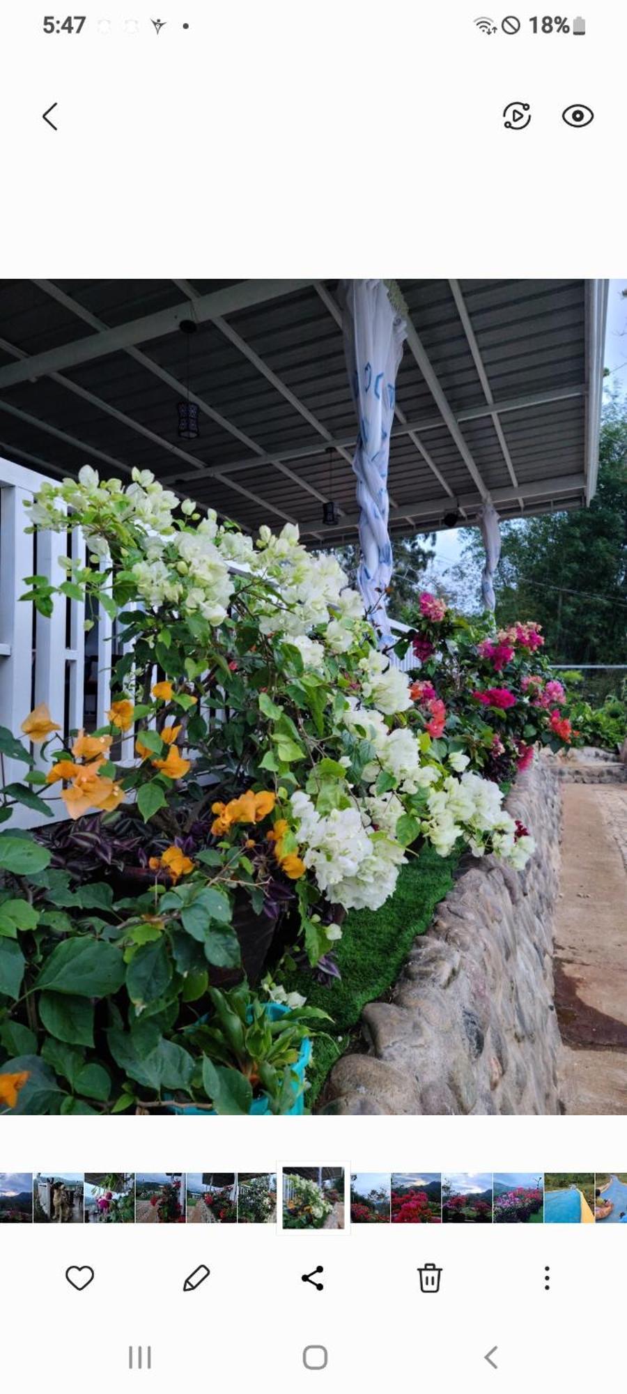 Serene Mountain Escape Digos Exterior foto